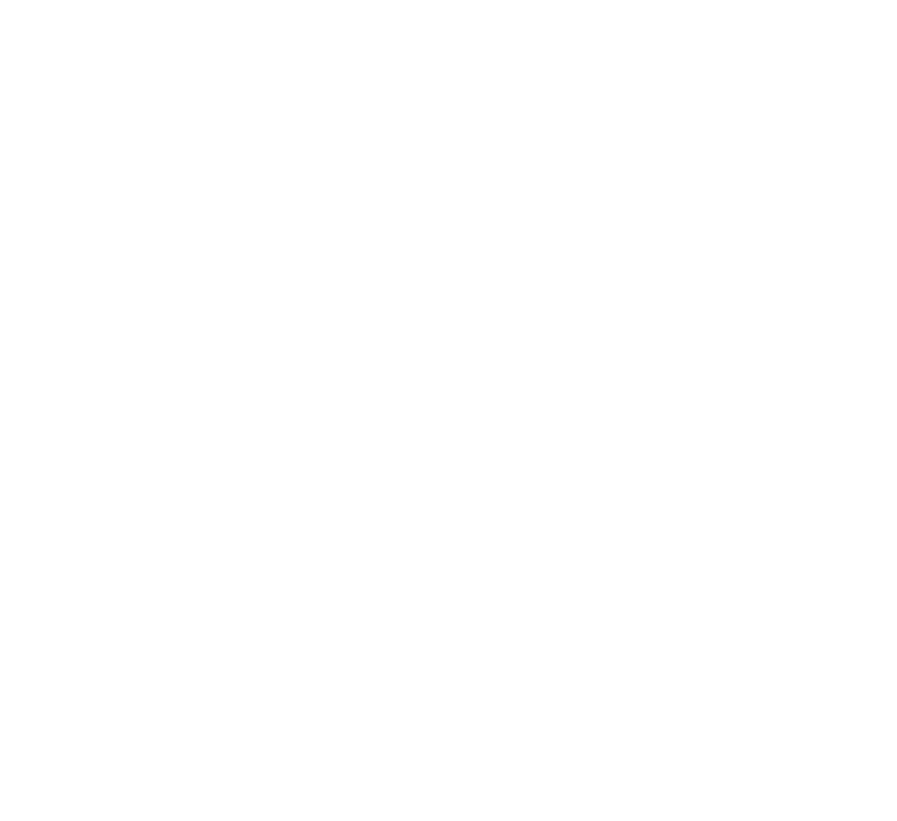 Esquadrão da Alegria